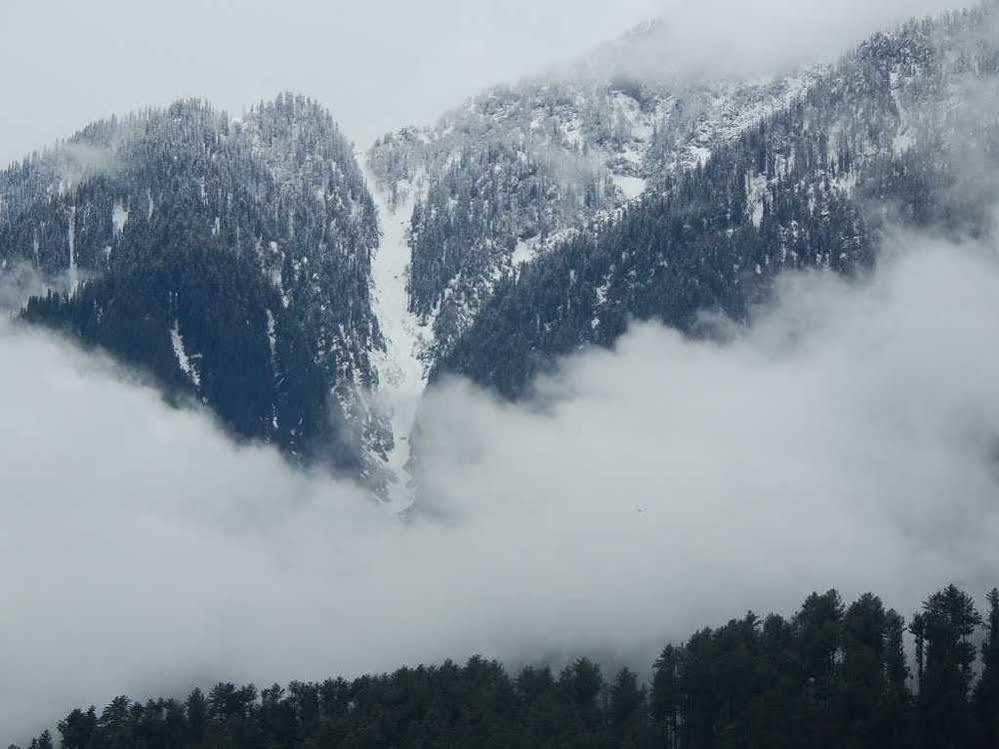 Hotel Paradise Inn Pahalgam Exterior photo